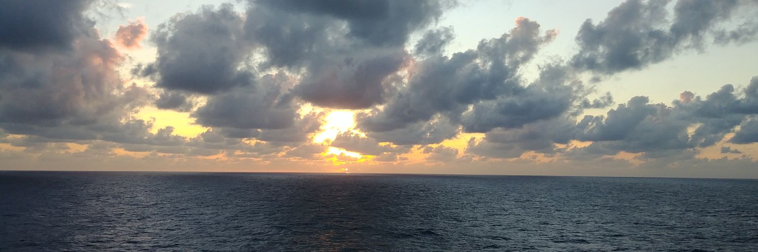 LizzyGracie's profile banner image