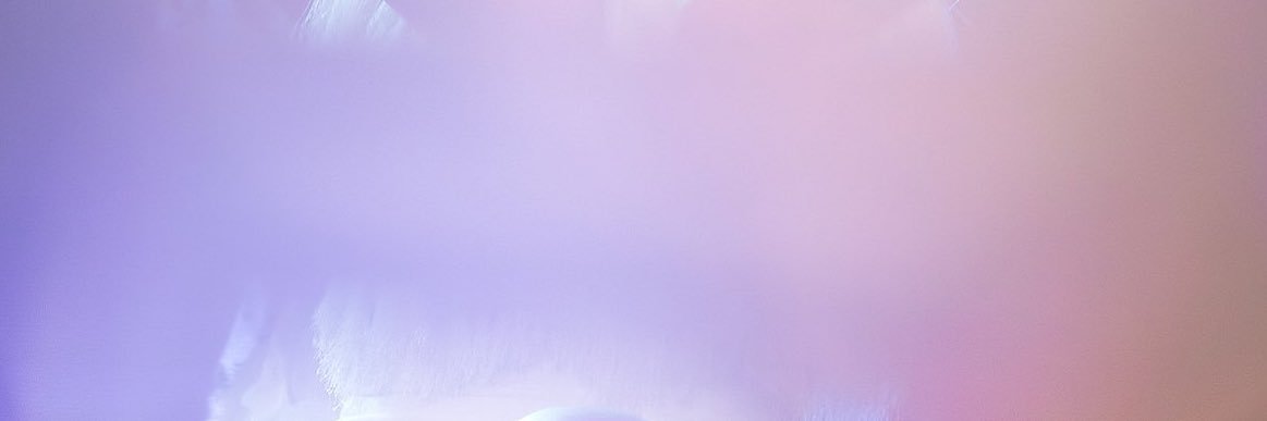 himomoloops's profile banner image