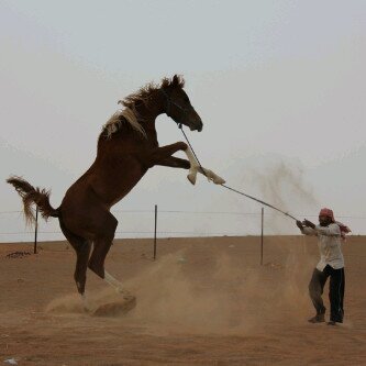 1470his's profile banner image