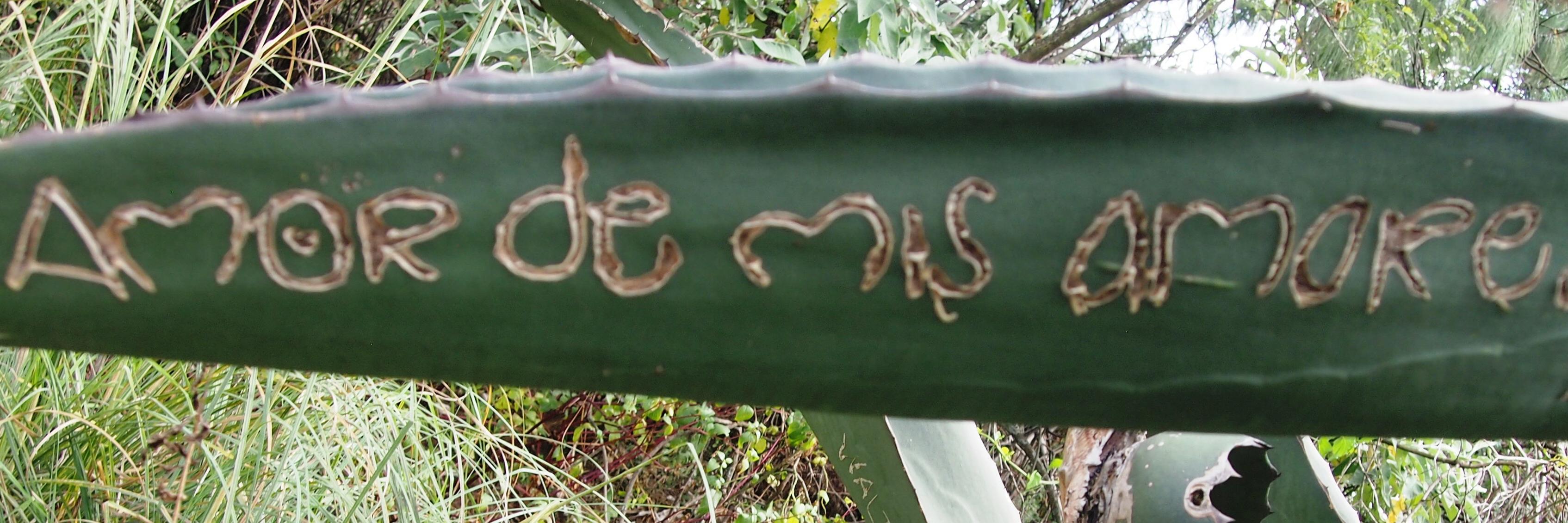Tan banner