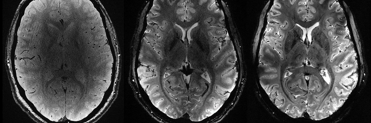 TUTANKHAMUN•KV62• banner