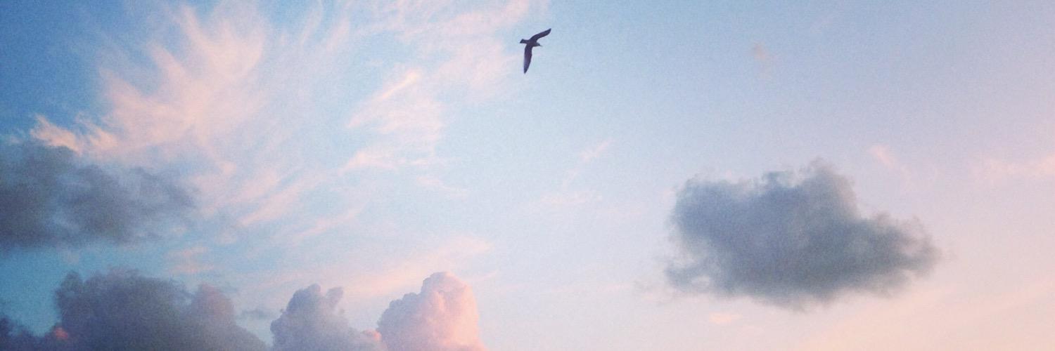 joestevn_'s profile banner image