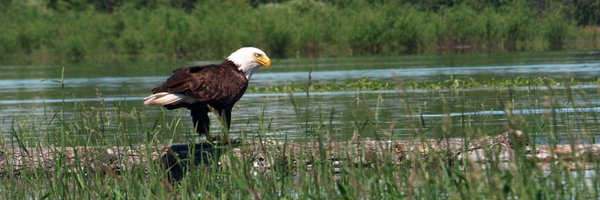 WilRiverkeeper Profile Banner