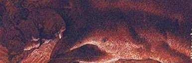 cgnkyc's profile banner image