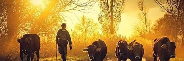 Grhanzen3's profile banner image