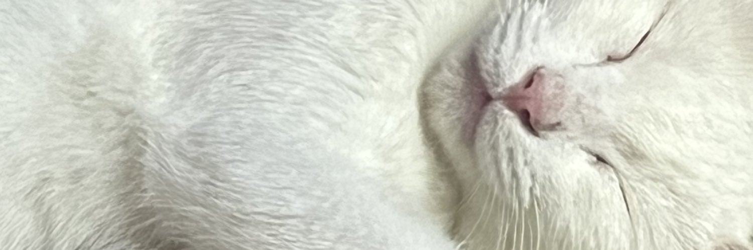 sosoyram's profile banner image