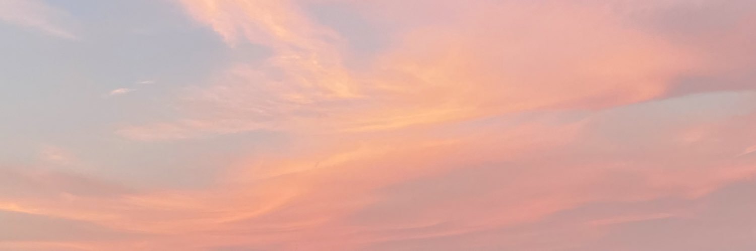 SandraFung's profile banner image