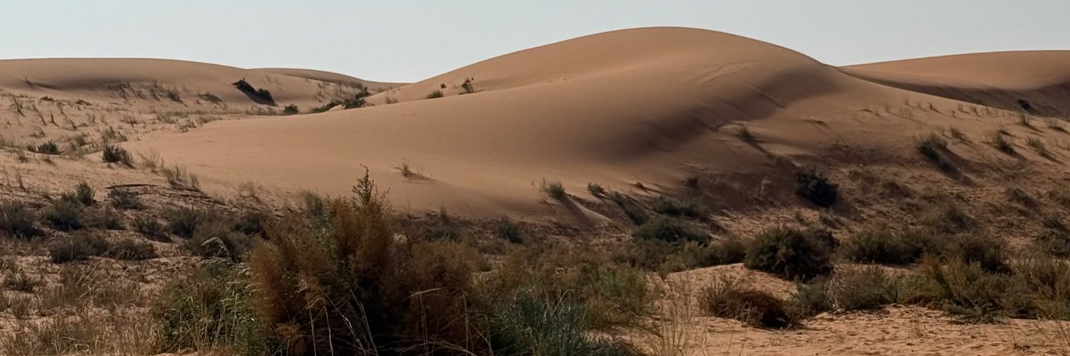 أبو حماد banner