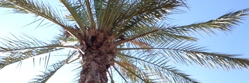 hemeola's profile banner image