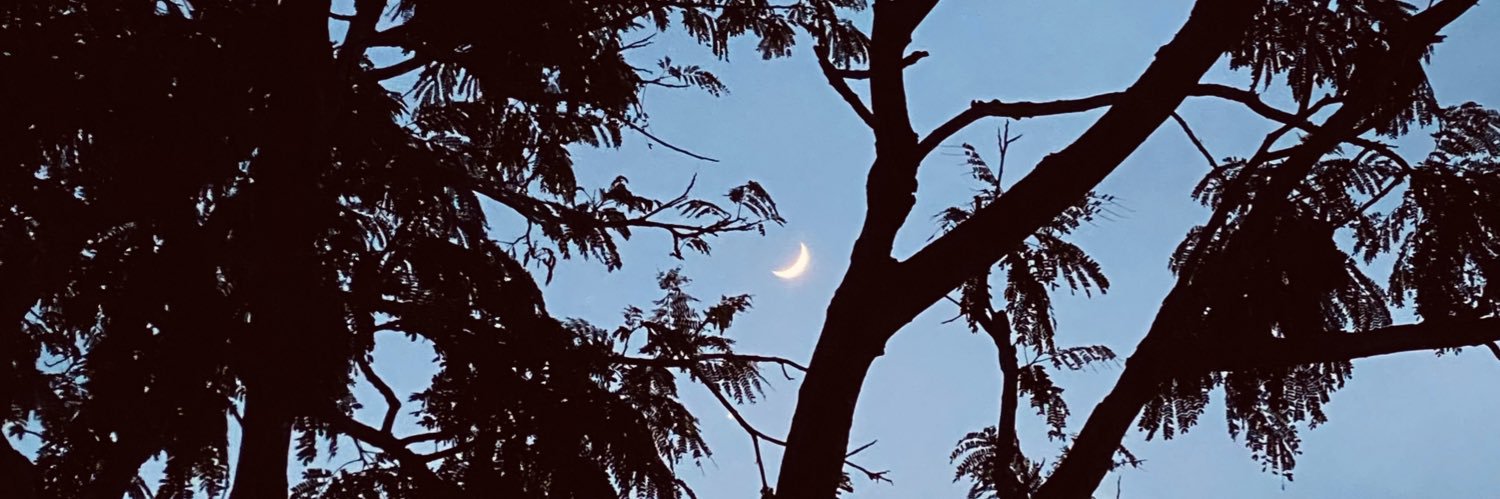 Rosinés Chávez R banner