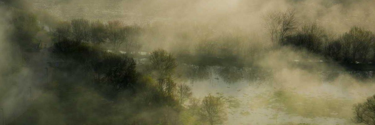 mascha55532's profile banner image