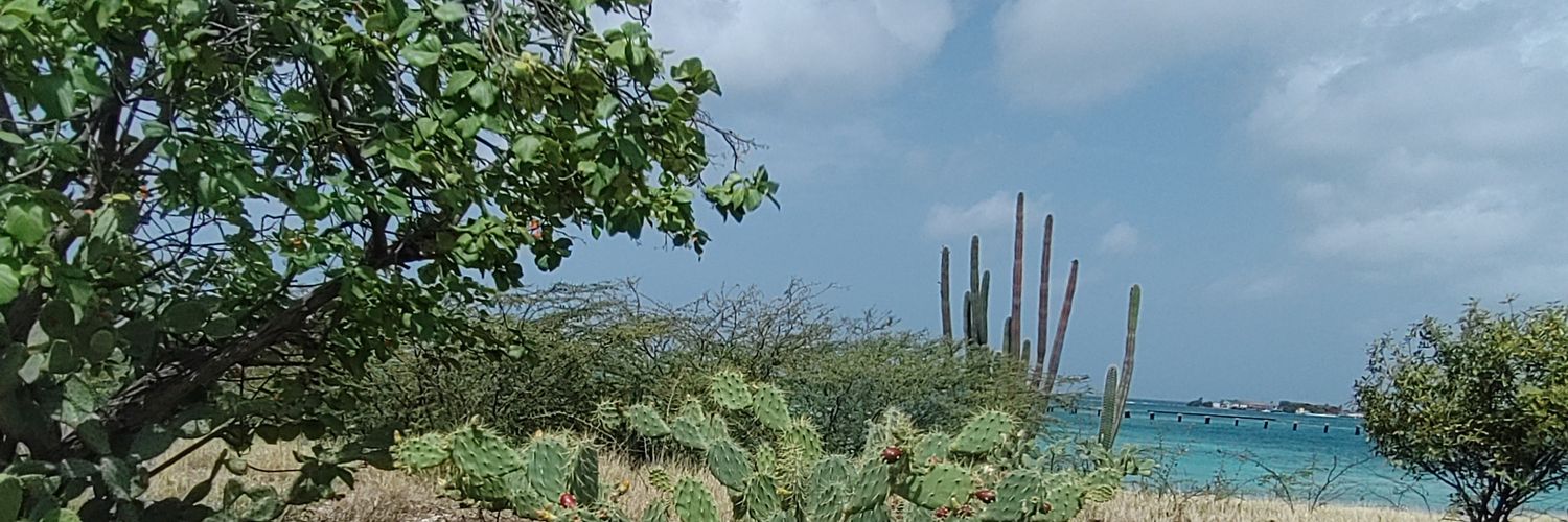 Terence Sambo 🇦🇼 🇳🇱 banner