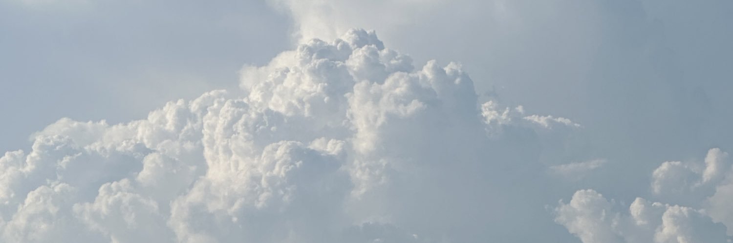 rozerozenonine's profile banner image