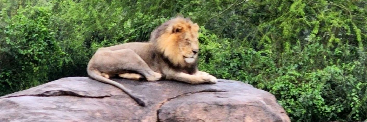 Benjamin Franklin III banner