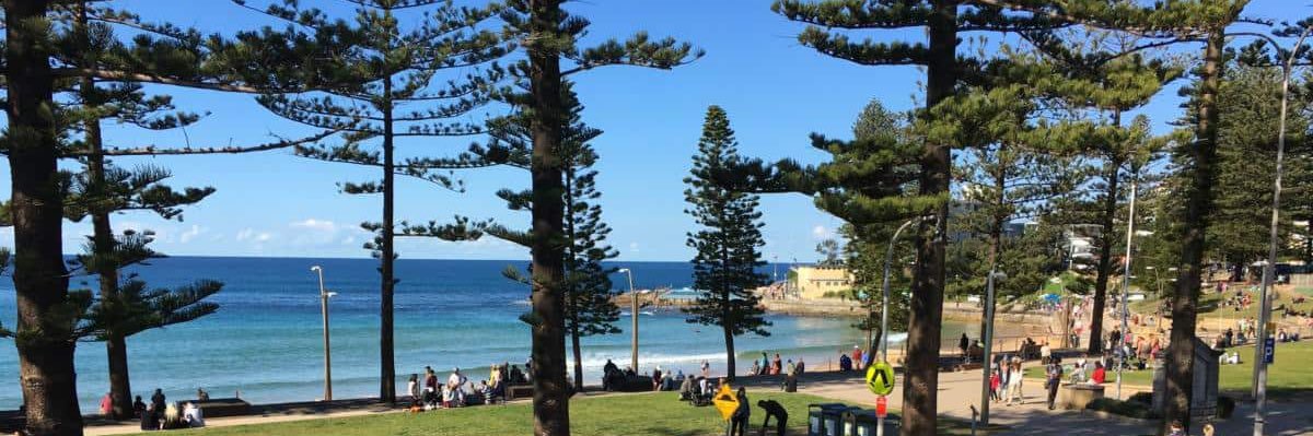 Aussie Down Under 🐨🇦🇺 banner