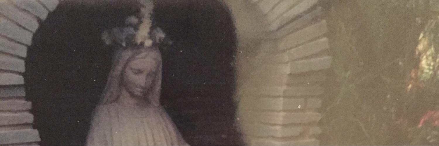 ali_dunn12's profile banner image