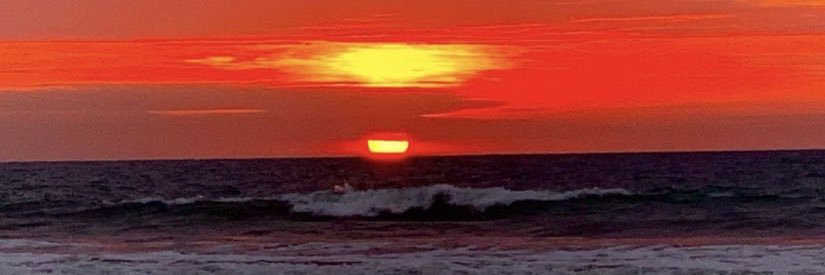 Vedder Inumaki banner