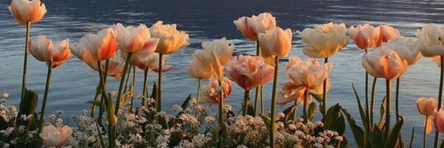 D11116698's profile banner image