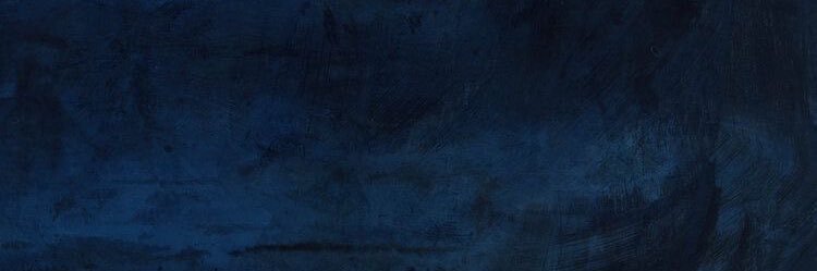 Robin Blue banner