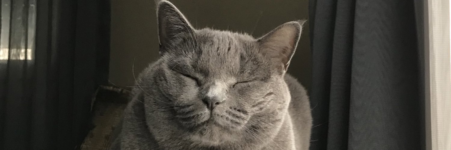 dlntre's profile banner image