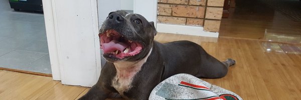 RelCazlick Profile Banner