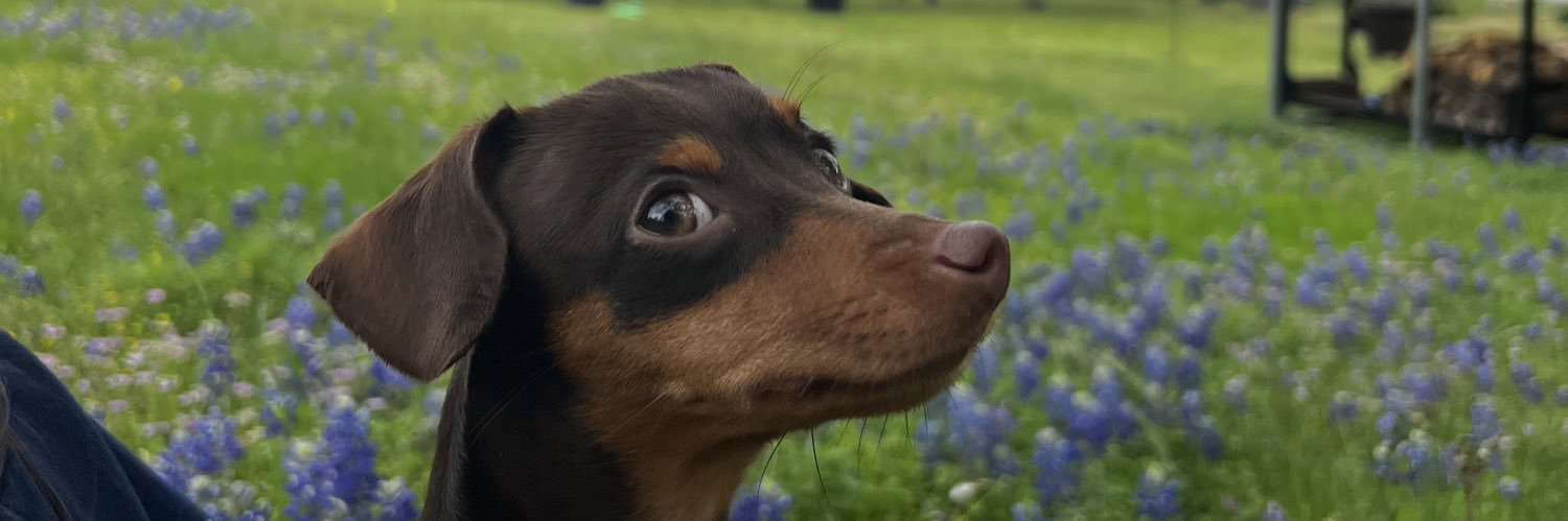 urfavpersonever's profile banner image