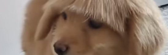 jaypwhite_'s profile banner image
