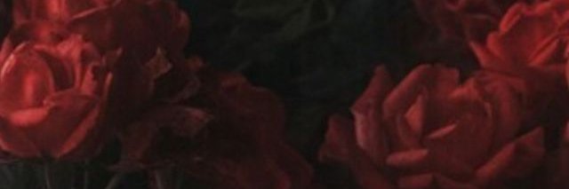 ninoadc's profile banner image