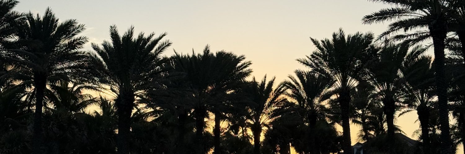 basicbocabitchh's profile banner image