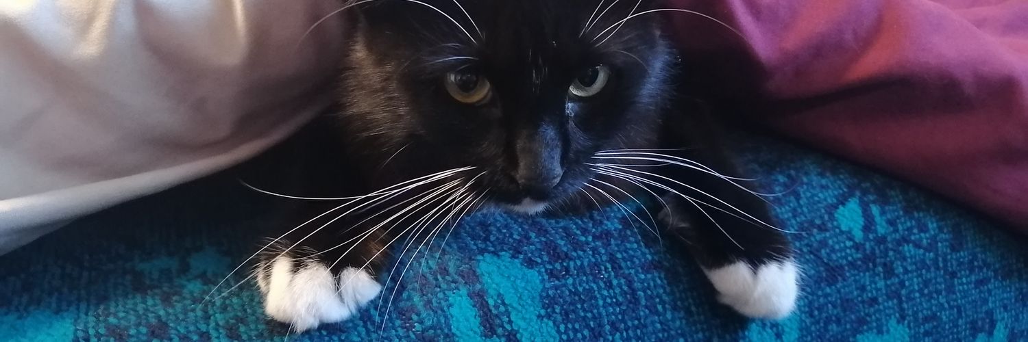 Brandonight064 banner