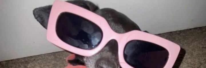 ArceMiqa's profile banner image