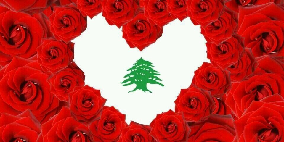 NAGIB_IBRAHIM's profile banner image