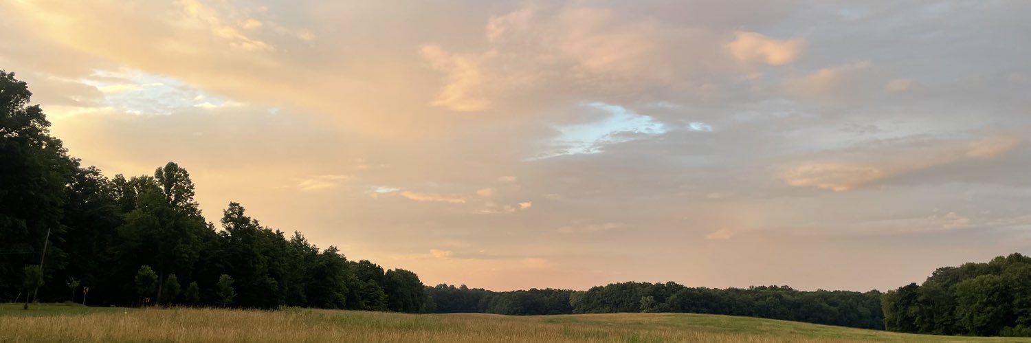 EmmaOas's profile banner image
