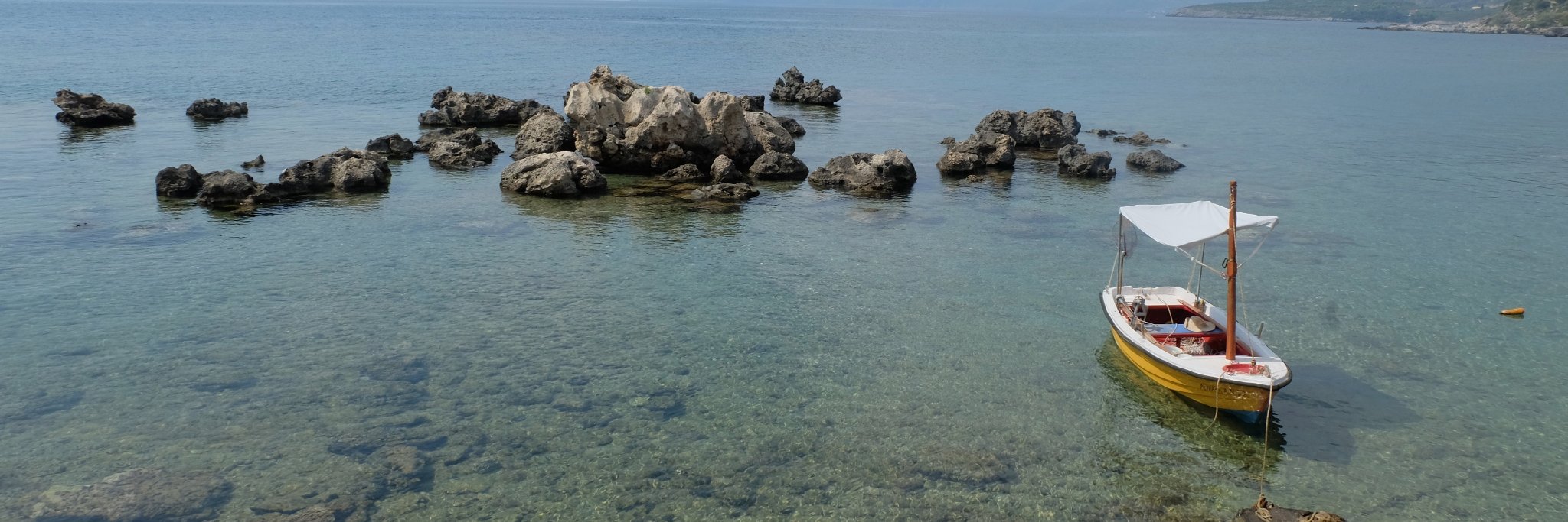 AlizonRobertson banner