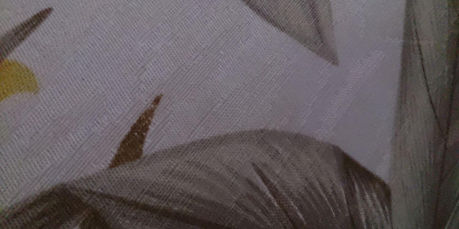 olvrodrig's profile banner image
