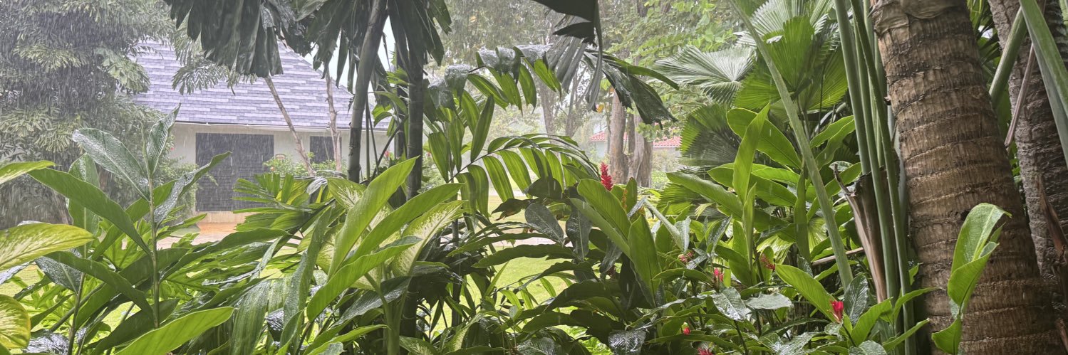 Always Skiing 🏆🥇 banner