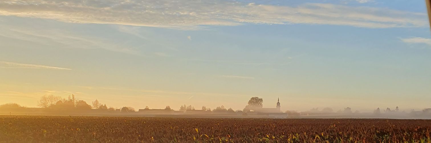 MathieuSirugue's profile banner image