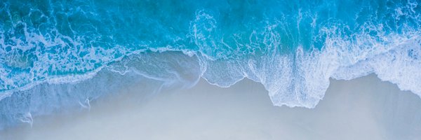 thewhalecc Profile Banner