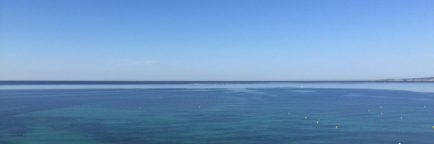 paugomila's profile banner image
