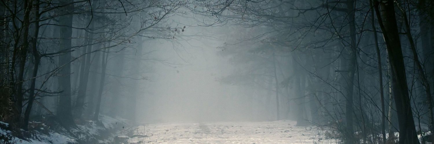 DenyMutti's profile banner image