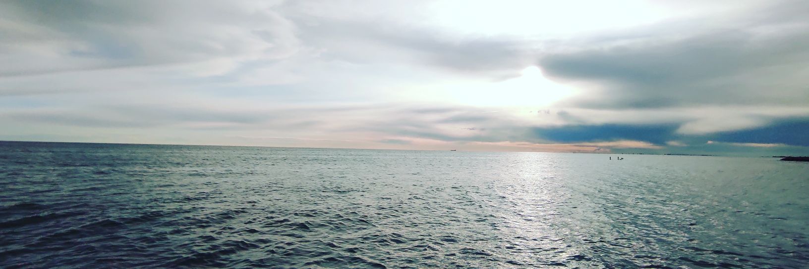 Markus Bruckmüller banner