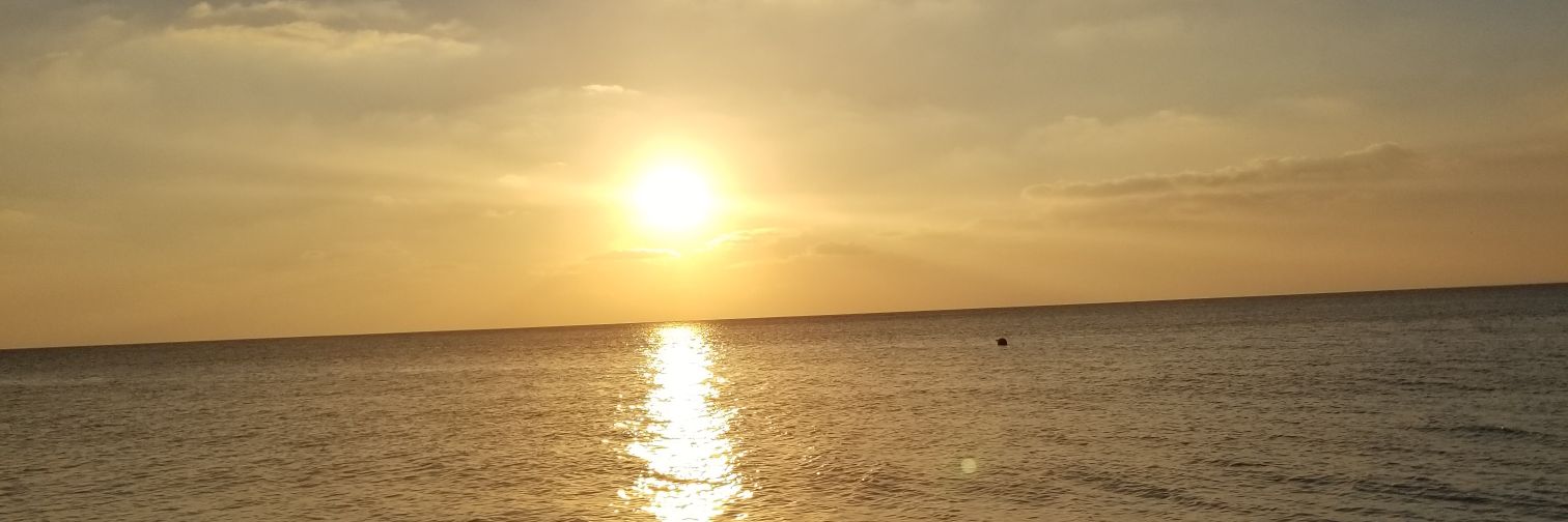 Junior Sehinde banner