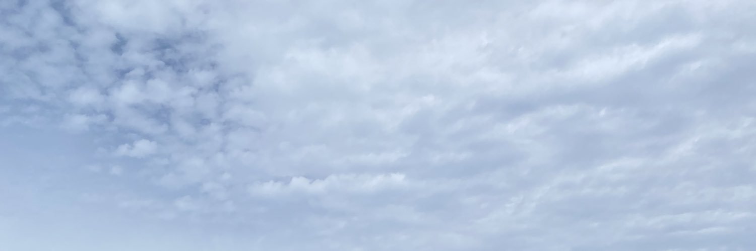 EM banner