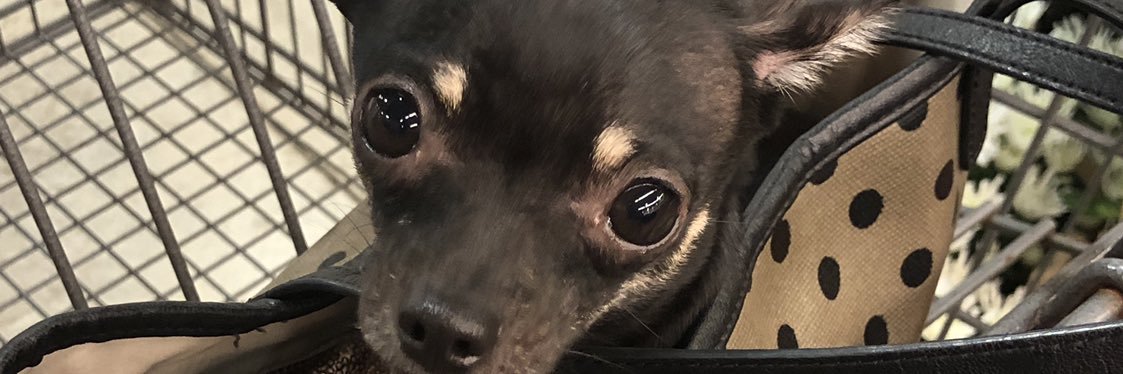 Erika_Nicole19's profile banner image