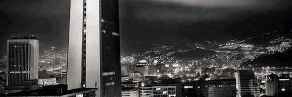 palmett Profile Banner
