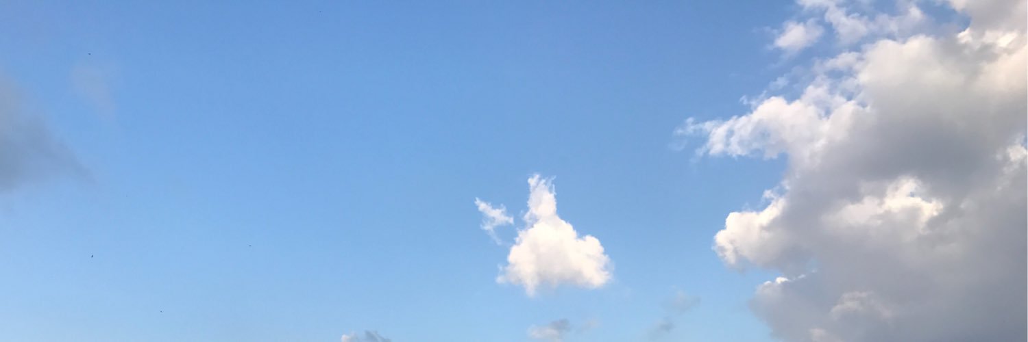 Zheena95's profile banner image