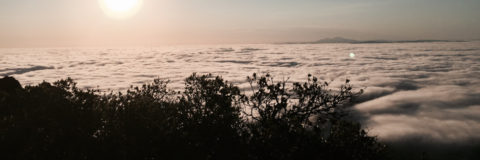 PlanetaryPhilo's profile banner image