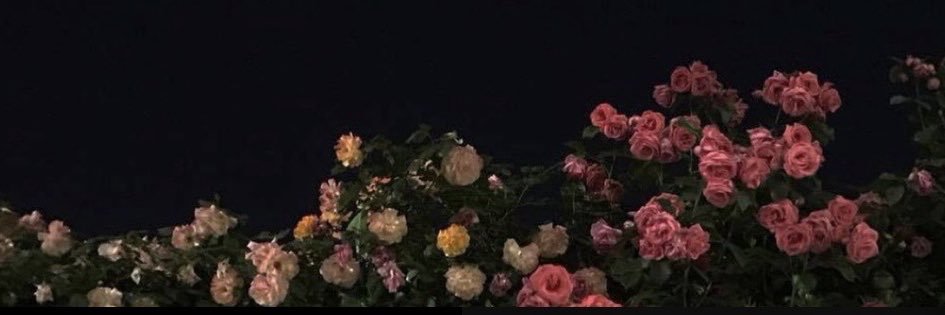 r9_iii0's profile banner image