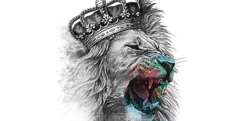 luciagp_7's profile banner image