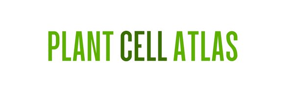 PlantCellAtlas Profile Banner